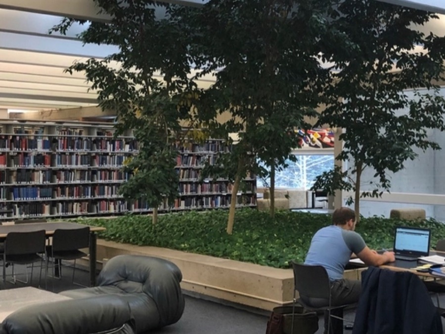 A small library interior